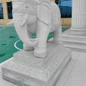 张家界 白麻花岗岩动物异形石雕-大象
