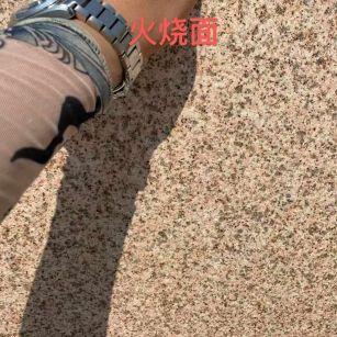 张家界黄金麻火烧面