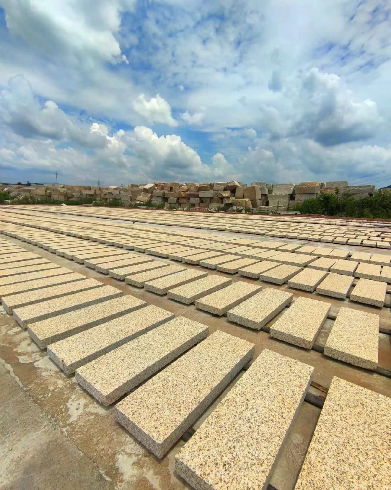 张家界 黄金麻花岗岩荔枝面地铺石防护中